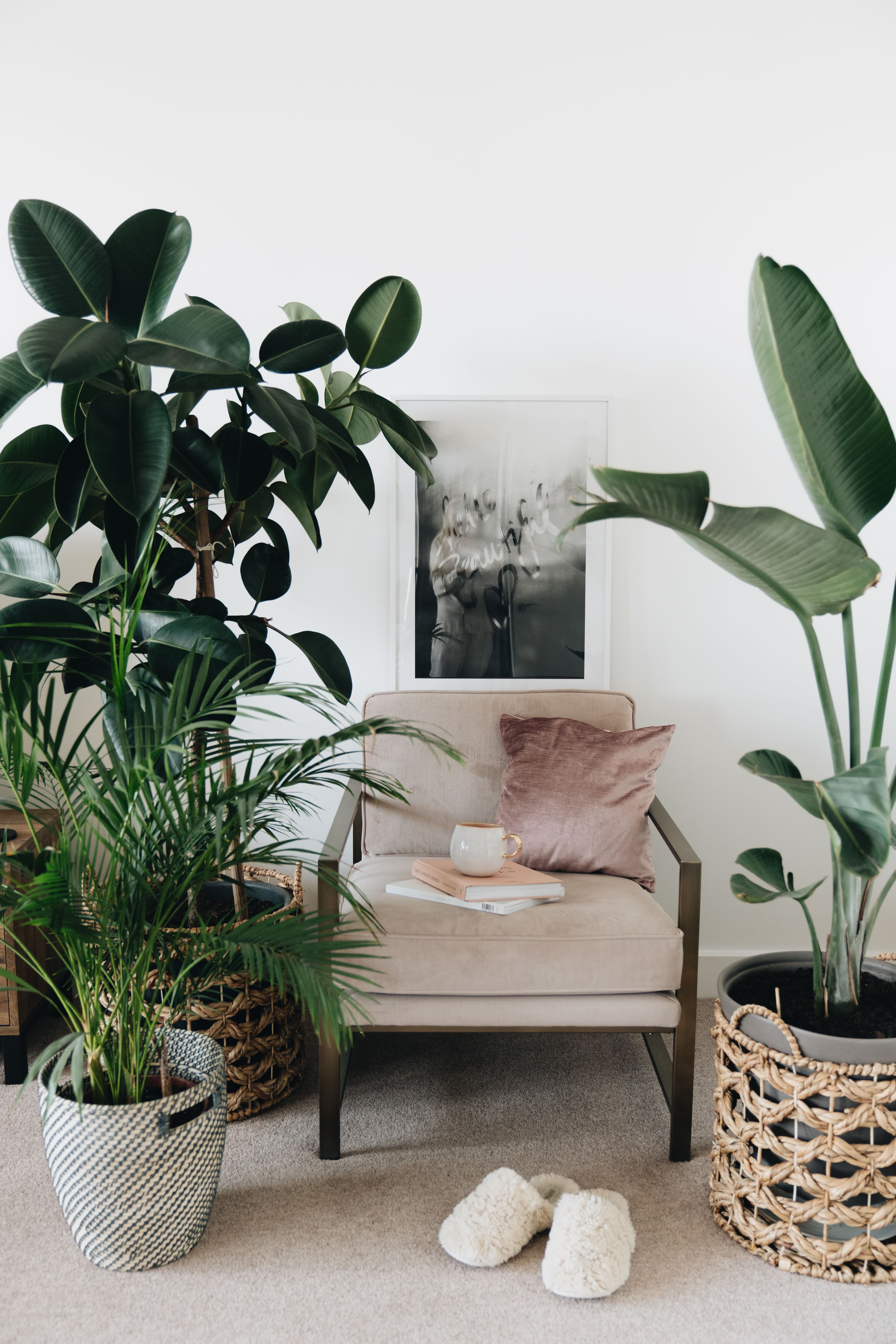 A calm interior workspace with houseplants and natural light